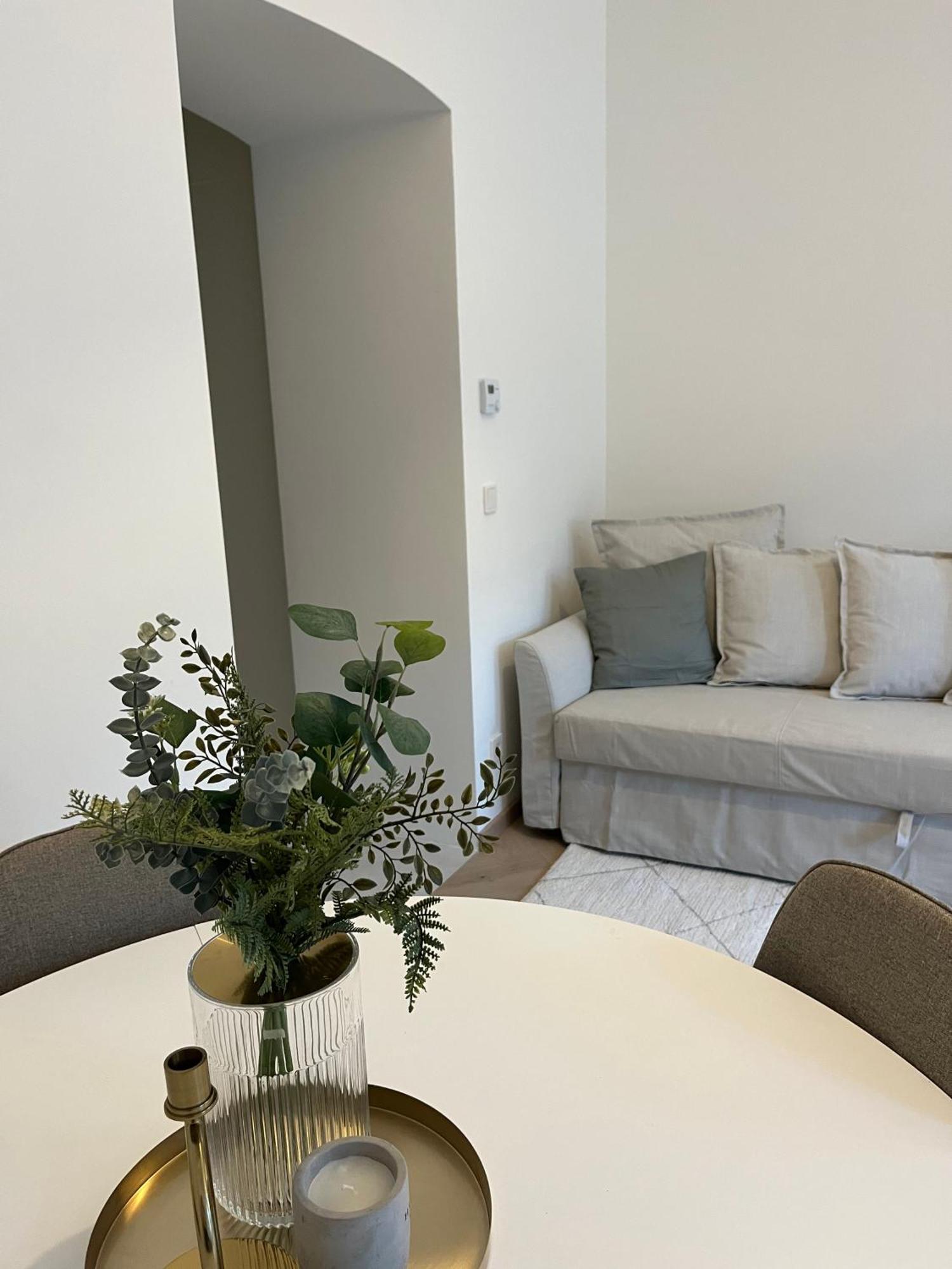 Luxurious One Room Apartment Near Schoenbrunn Palace Vídeň Exteriér fotografie